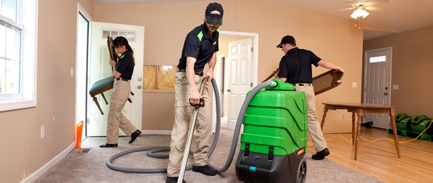 McCall, ID cleaning services